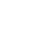 D12 Window Tinting Logo